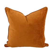Load image into Gallery viewer, Velvet Pillow Cover Collection