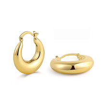 Load image into Gallery viewer, Small Vintage Chunky Hoop Earrings-Modern Baby Las Vegas