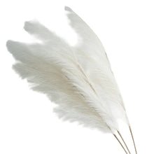 Load image into Gallery viewer, Large Artificial Pampas Grass