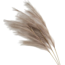 Load image into Gallery viewer, Large Artificial Pampas Grass