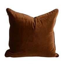 Load image into Gallery viewer, Velvet Pillow Cover Collection