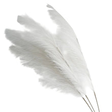 Load image into Gallery viewer, Large Artificial Pampas Grass
