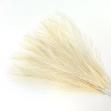 Load image into Gallery viewer, 15pc Artificial Pampas Grass