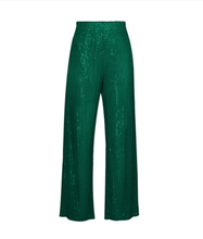 Load image into Gallery viewer, Sequin Pant Set
