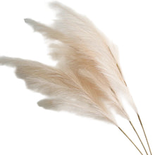 Load image into Gallery viewer, Large Artificial Pampas Grass
