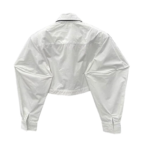 Large Sleeve Crop Blouse