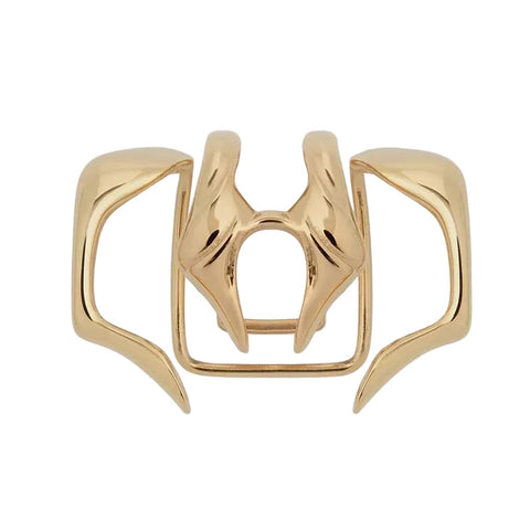 Clip-On Lip Ring