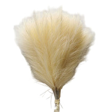 Load image into Gallery viewer, Short Artificial Pampas Grass
