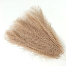 Load image into Gallery viewer, 15pc Artificial Pampas Grass
