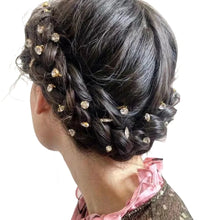 Load image into Gallery viewer, 14-Piece Rhinestone Hairpins
