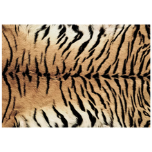 Load image into Gallery viewer, Modern Wild Print Rug Collection

