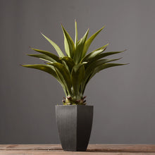Load image into Gallery viewer, Artificial Agave Plant
