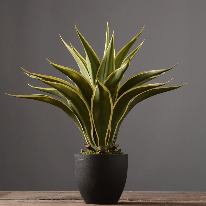 Artificial Agave Plant